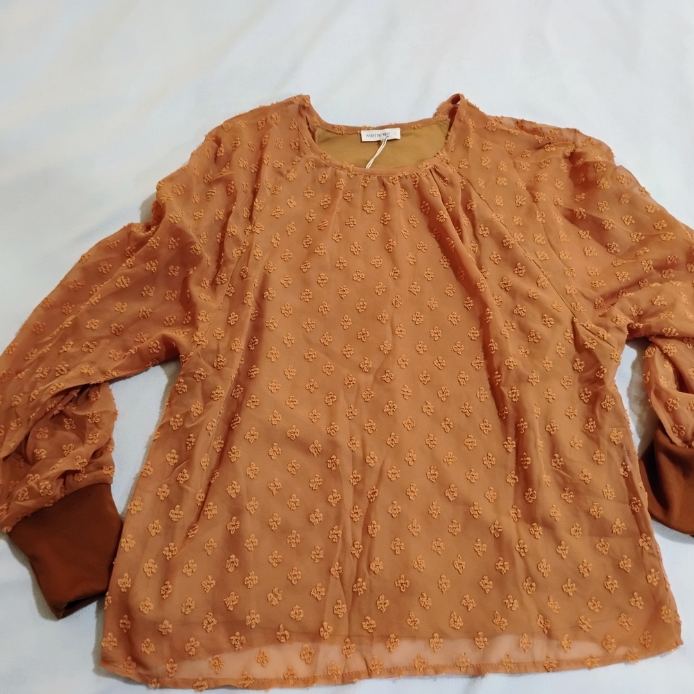 Chic Burnt Orange Blouse with Intricate Design